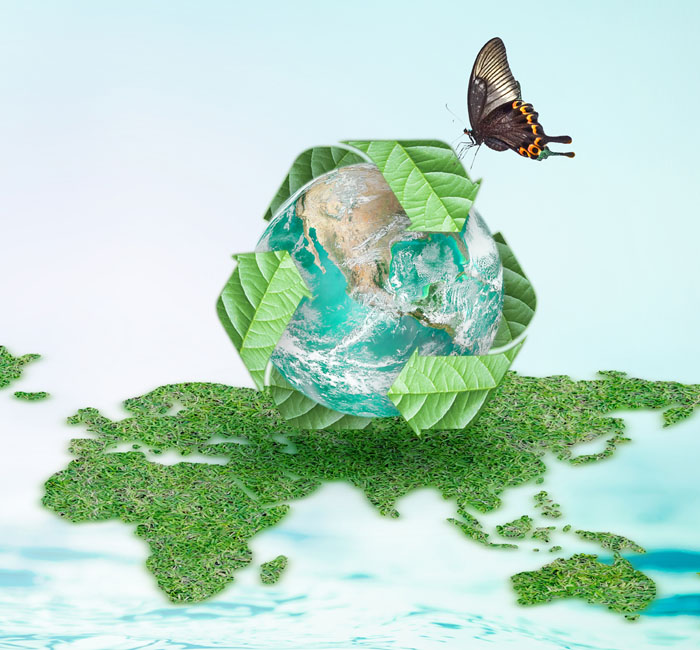 Circles of sustainability – Ecology & Bionics